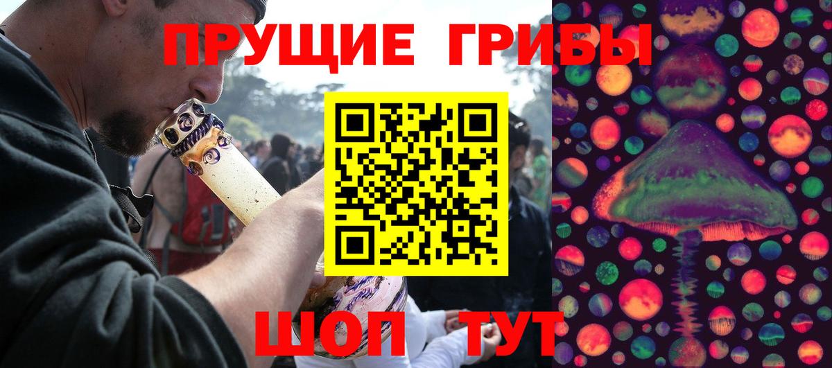 Псилоцибиновые грибы мицелий Саров